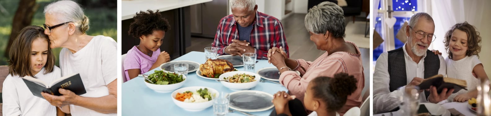 World Day for Grandparents and the Elderly showing several Grandparents interacting with grandchildren