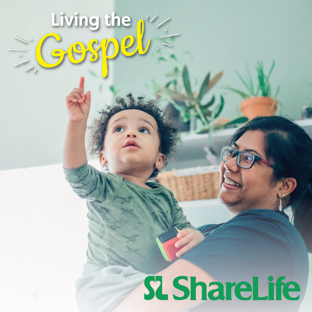 ShareLife