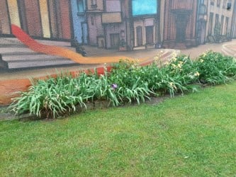 Holy Name Garden